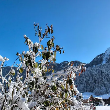 Chalet Love Nest Chalet *
